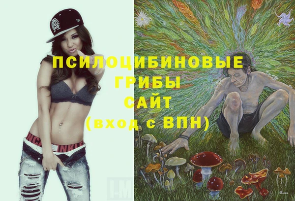 соль курить ск Алзамай