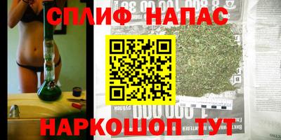 сатива Конаково