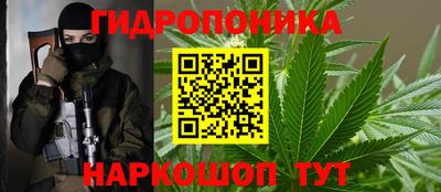индика Коммунар