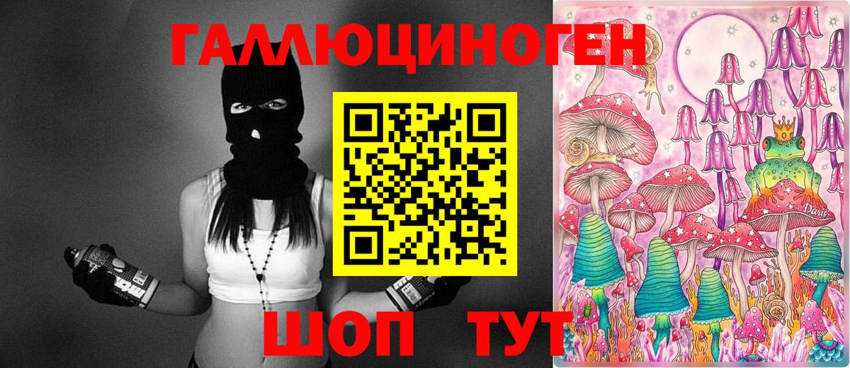 Клинцы  Псилоцибиновые грибы мицелий  Вход с VPN 